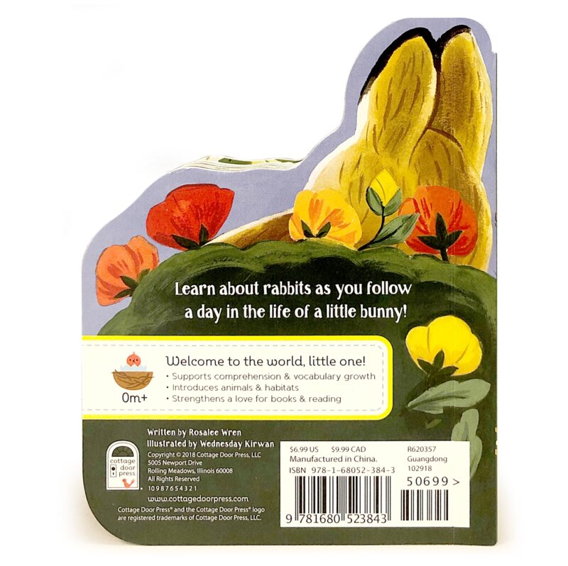 A Little Bunny Shaped Board Book made by