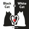 Sourcebooks Black Cat & White Cat Board Book