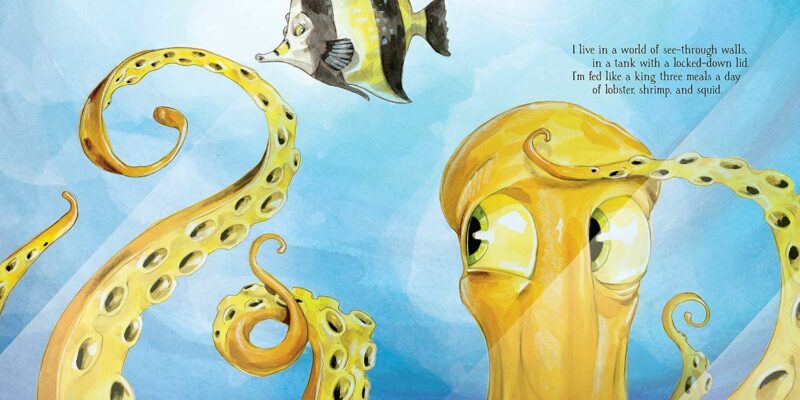 Inky the Octopus Hardcover Book from Sourcebooks