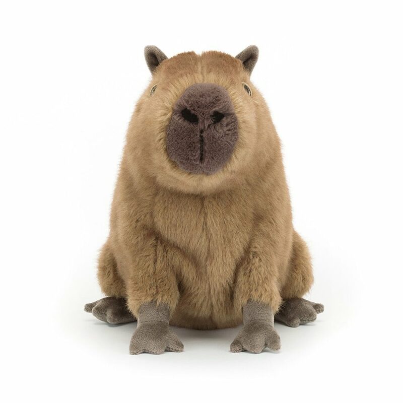 Jellycat Clyde Capybara Toys
