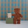 Dinkum Doll Pretend Pack Teddy made by Olli Ella