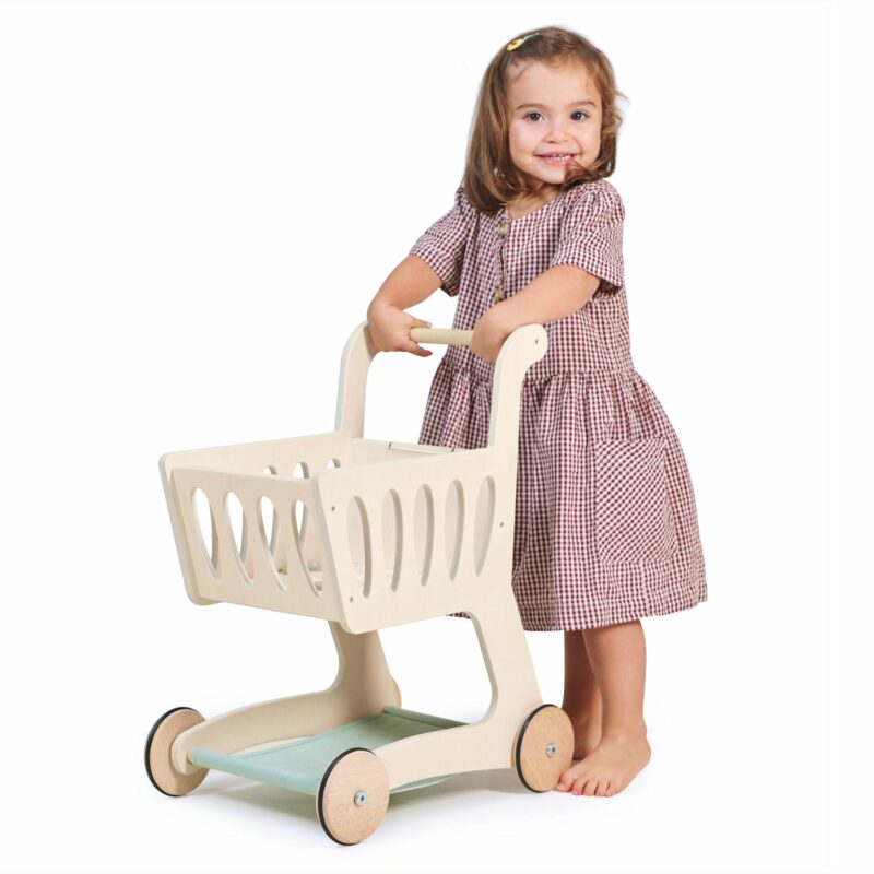 Shopping Cart made by Tender Leaf Toys