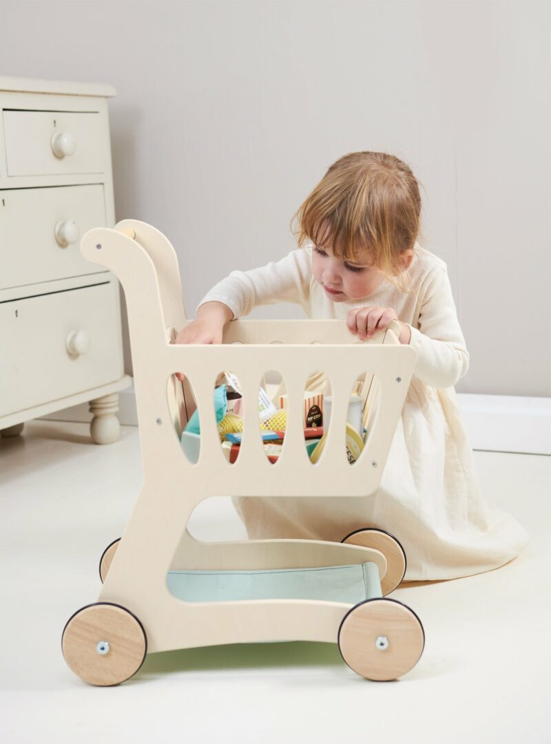 Tender Leaf Toys Shopping Cart Toys