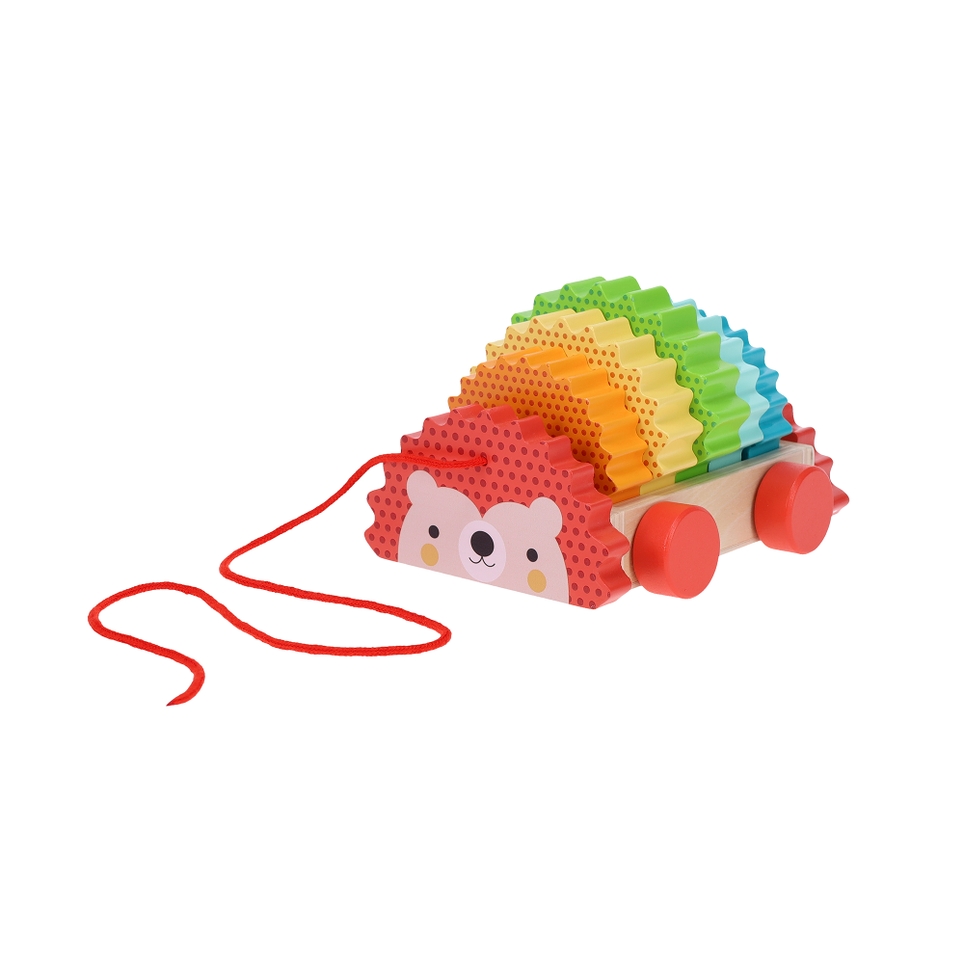 Petit Collage Rainbow Hedgehog Wooden Pull Toy