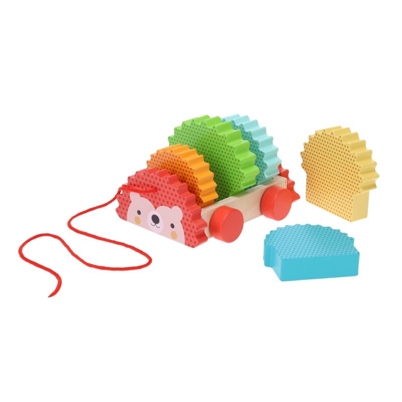 Rainbow Hedgehog Wooden Pull Toy made by Petit Collage