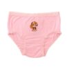 Paw Patrol Bamboo Underwear 7-Pack