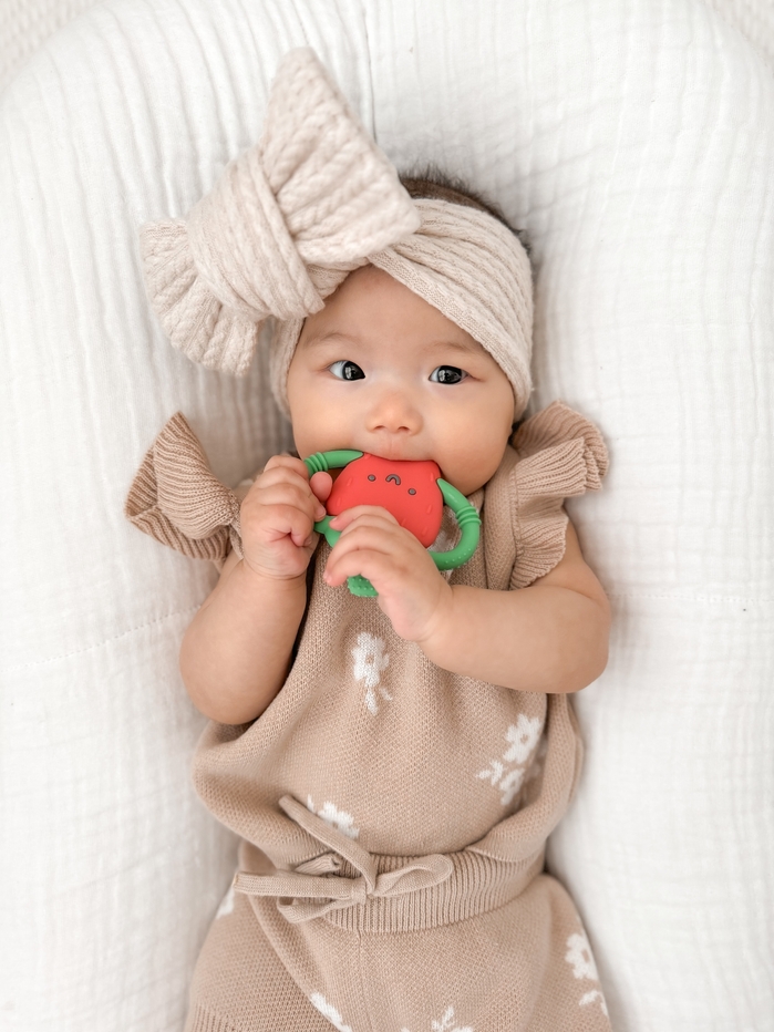 Itzy Ritzy Strawberry Chew Crew Toys