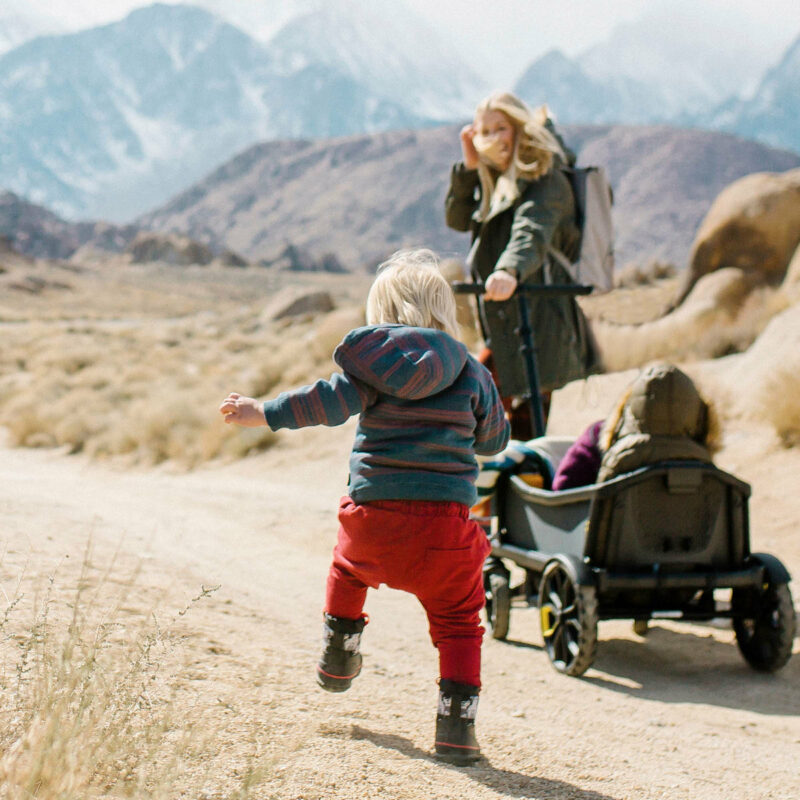 Veer All-Terrain Cruiser Wagon