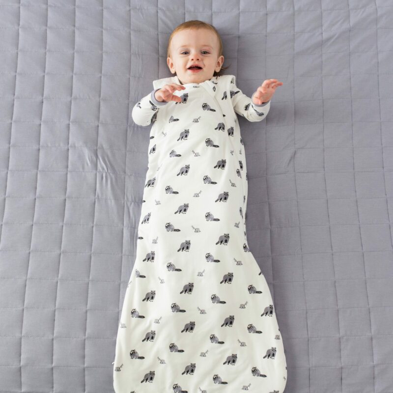 Kyte BABY Sleep Bag in Raccoon 1.0 TOG