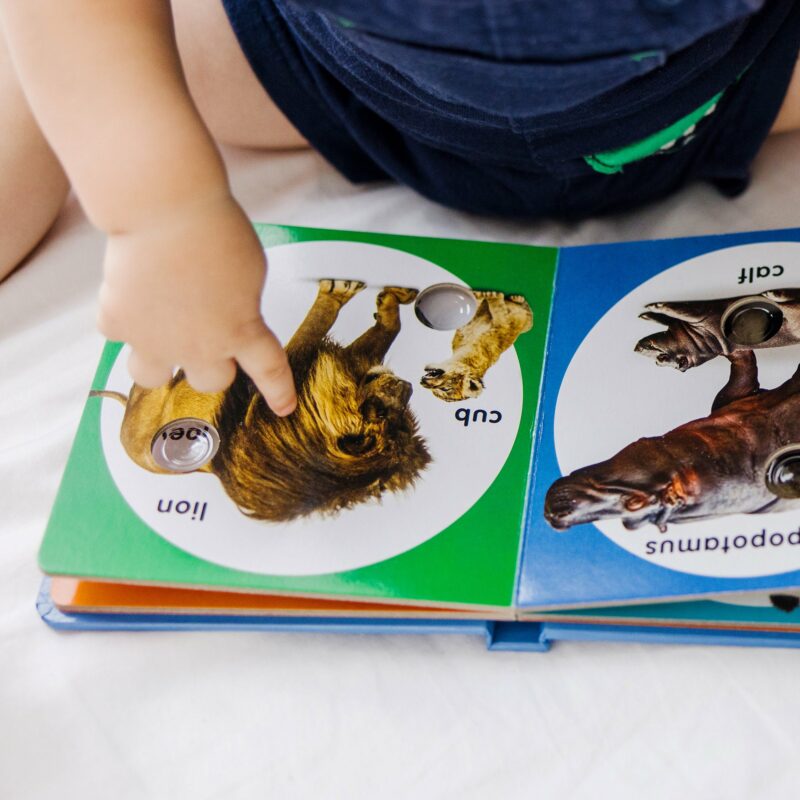 Poke-a-Dot - Wild Animal Families made by Melissa & Doug
