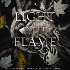 Simon & Schuster Light in the Flame by Jennifer Armentrout (Book 2 of Flesh and Fire)