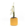 Amuseables Daisy from Jellycat