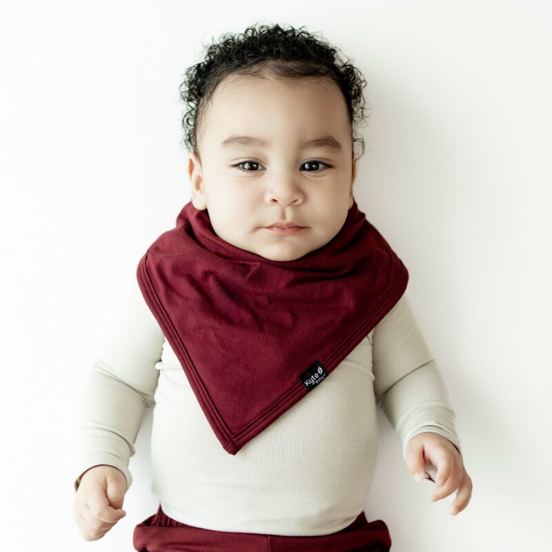 Kyte BABY Bib in Burgundy Kyte BABY Bib in Burgundy
