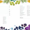 All About Rocks and Minerals Children's Books