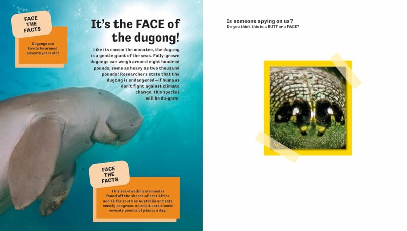Butt or Face? Revenge Of The Butts Children's Books