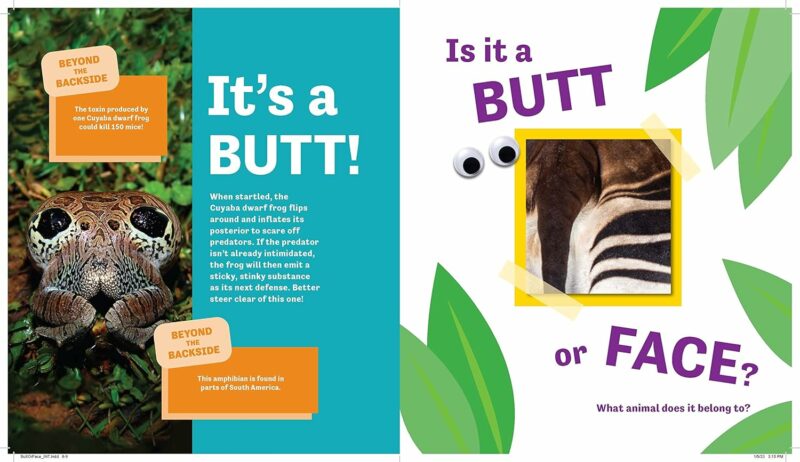 Butt or Face? from