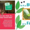 Butt or Face? made by