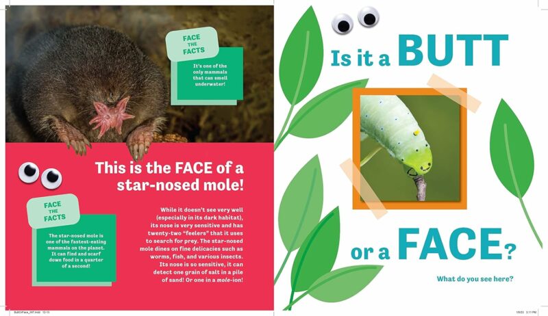 Butt or Face? made by