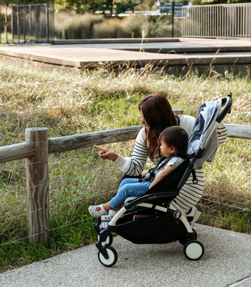 YOYO3 Stroller