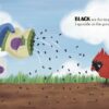 The Colors Of Spring Little Golden Book Children's Books