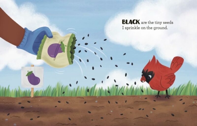 The Colors Of Spring Little Golden Book Children's Books