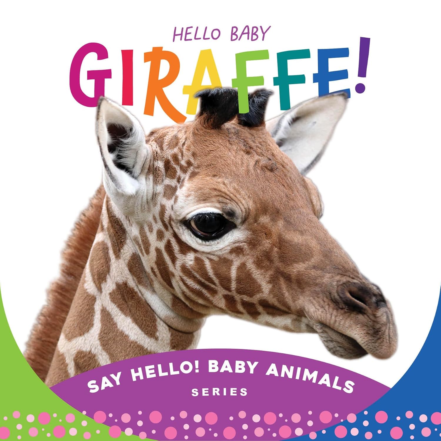 Sleeping Bear Press Hello Baby Giraffe Board Book
