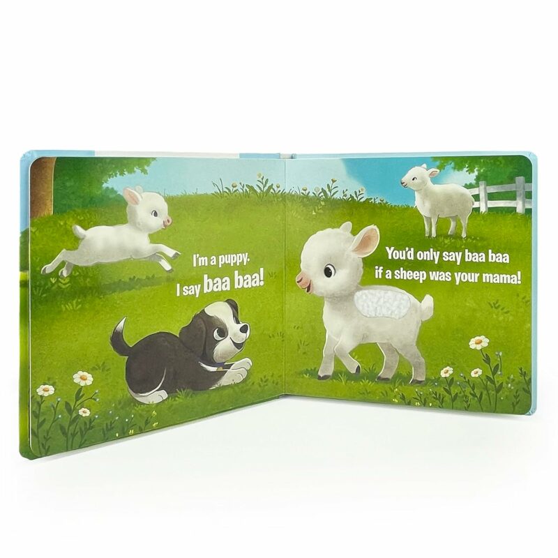Touch & Feel Interactive Board Book from