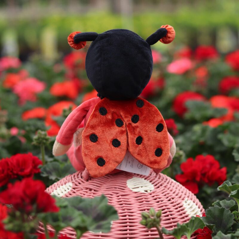 Dinky Dinkum Dolls Lola Ladybug from Olli Ella