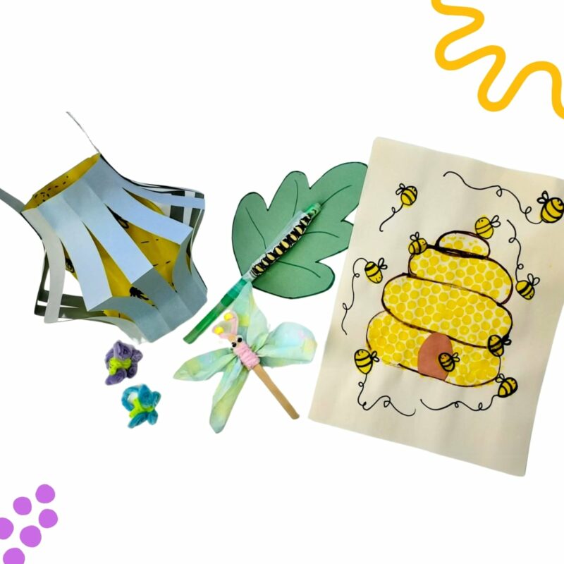 Creative Owl Bug Box