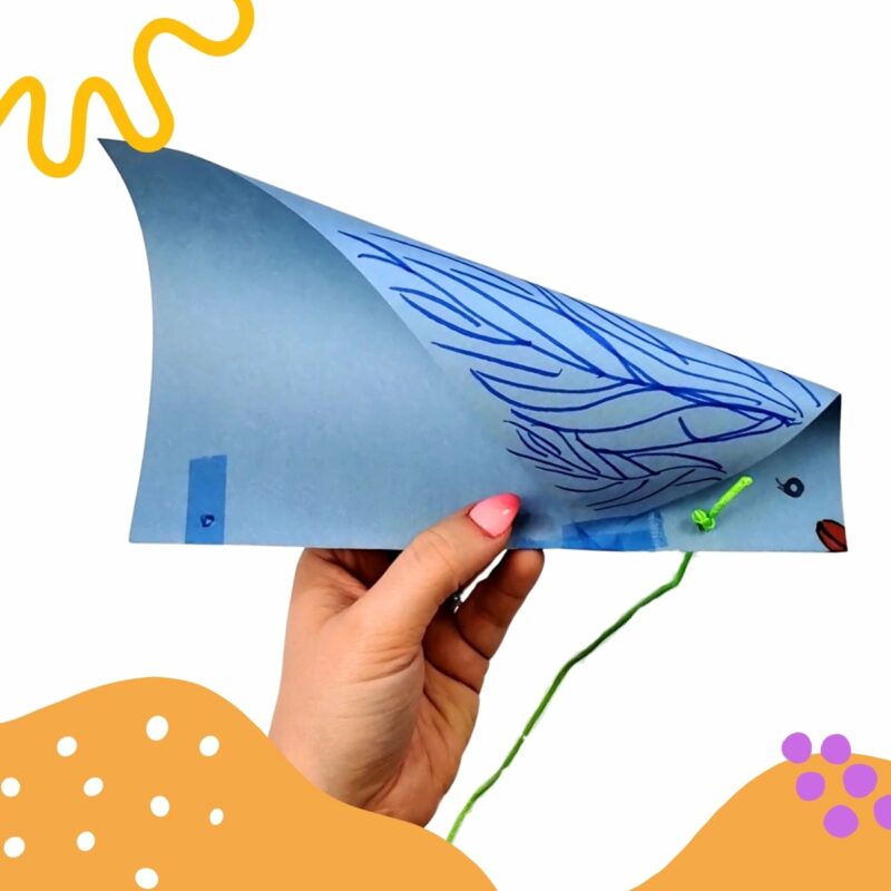 Summer Fun Outdoor Craft Box from Creative Owl