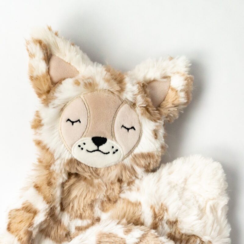 Lynx's Self Expression Plush Snuggler 2 Book Bundle made by Slumberkins