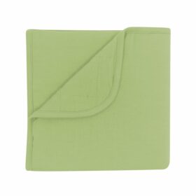 Kyte BABY Baby Blanket in Honu