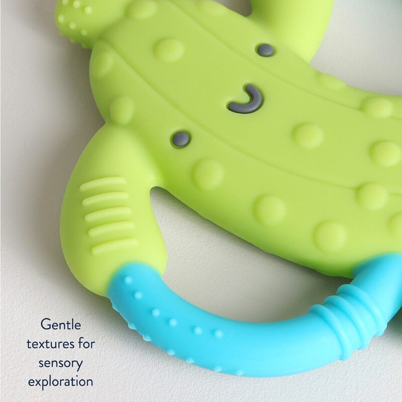 Itzy Ritzy Pickle Chew Crew Toys