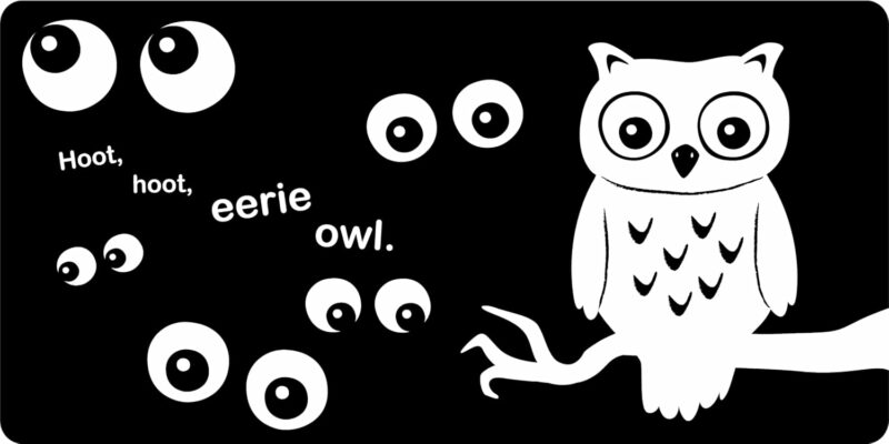 Booook! A Spooky High-Contrast Board Book made by Sourcebooks