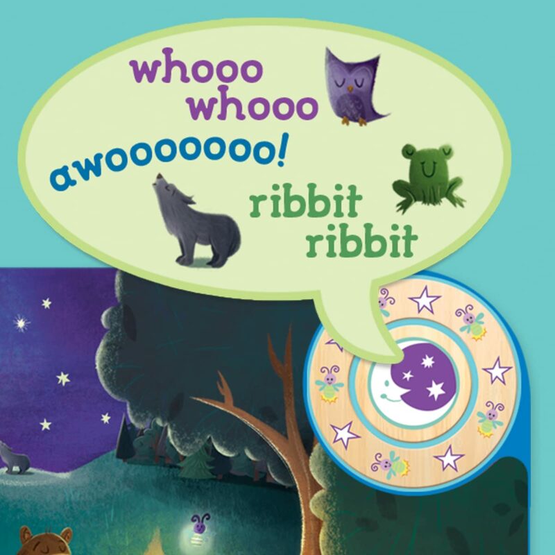 Brave Little Camper Interactive Camping Sound Book made by Cottage Door Press