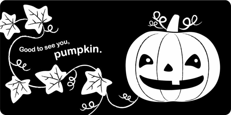 Booook! A Spooky High-Contrast Board Book from Sourcebooks