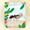 My Little Golden Book About Bugs from