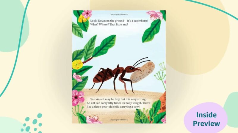 My Little Golden Book About Bugs from