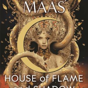 Macmillan Publishers Flame And Shadow Crescent City Book 3 by Sarah J Maas