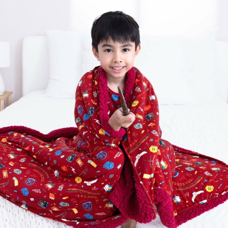 Bellabu Bear Harry Potter Hogwarts Express Bamboo Viscose Sherpa Blanket