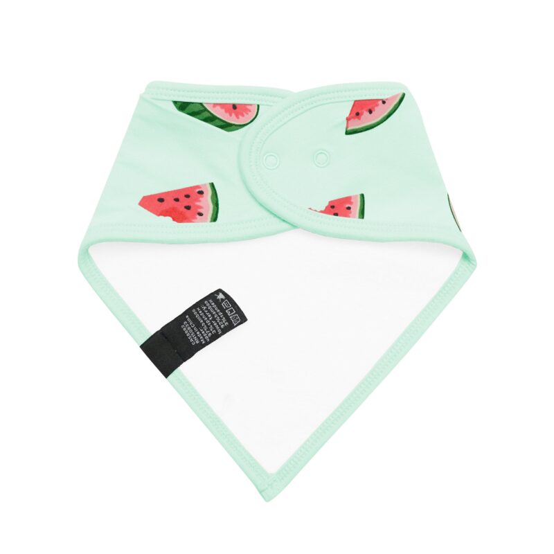 Bib in Watermelon made by Kyte BABY