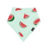 Bib in Watermelon from Kyte BABY