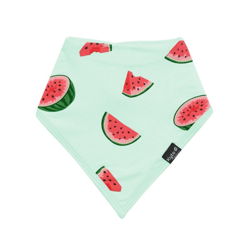 Bib in Watermelon from Kyte BABY