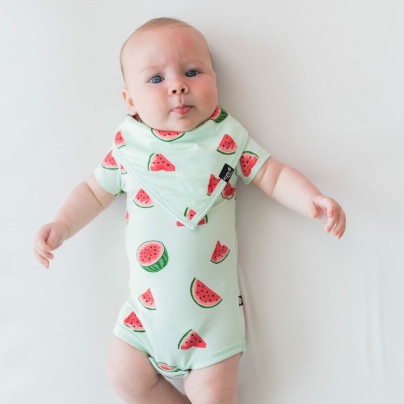 Kyte BABY Bib in Watermelon