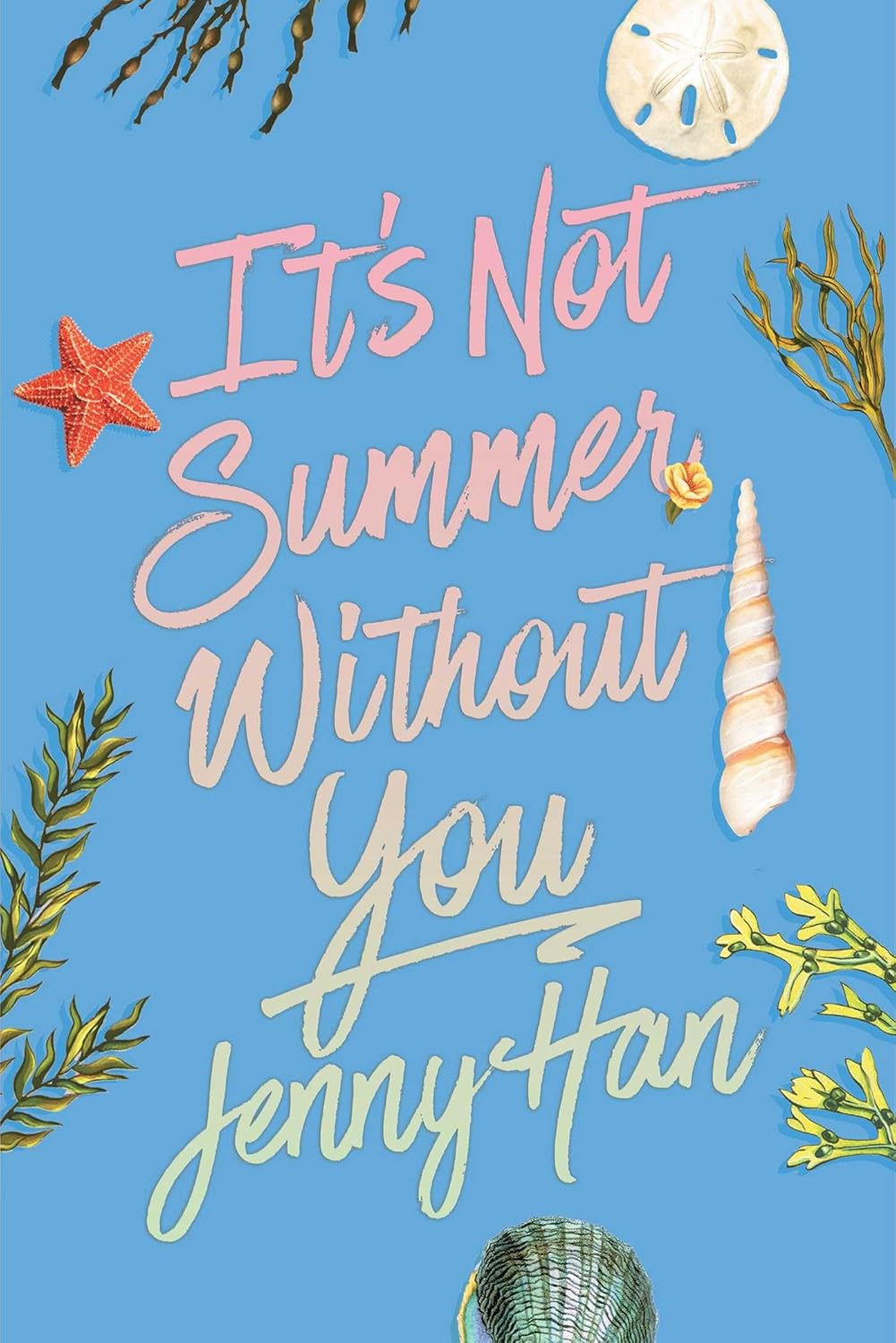 Simon & Schuster It's Not Summer Without You (Deluxe Edition) by Jenny Han