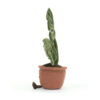 Amuseables Monstera Plant made by Jellycat