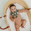 Copper Pearl Gingerbread Bandana Bib Set 4-Pack Feeding