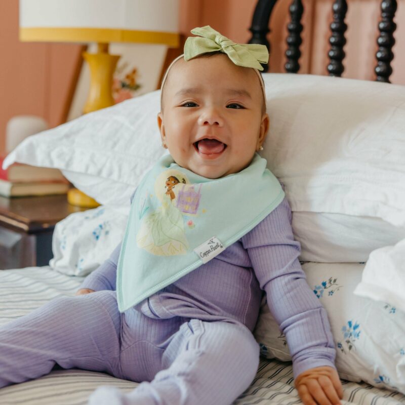 Copper Pearl Disney Princess Bandana Bib Set 6-Pack