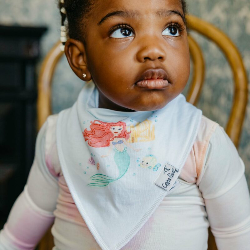 Copper Pearl Disney Princess Bandana Bib Set 6-Pack Feeding