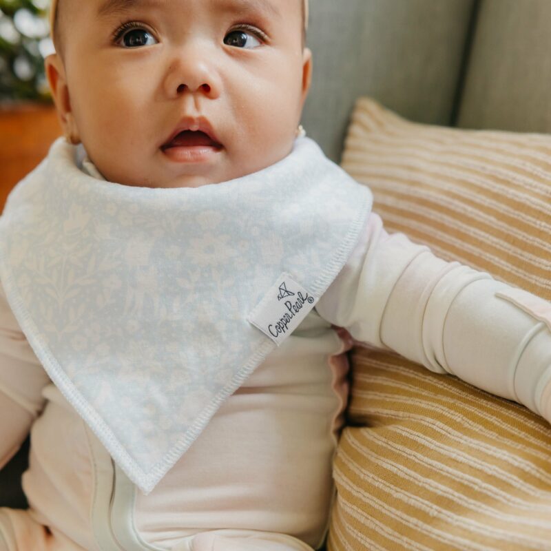 Copper Pearl Disney Princess Bandana Bib Set 4-Pack part of our  collection